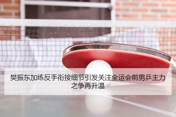 樊振东加练反手衔接细节引发关注全运会前男乒主力之争再升温
