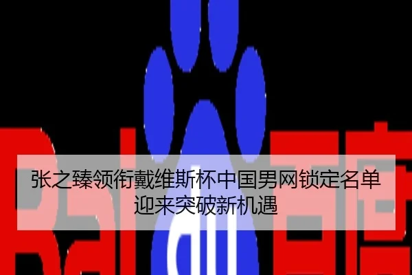 张之臻领衔戴维斯杯中国男网锁定名单迎来突破新机遇